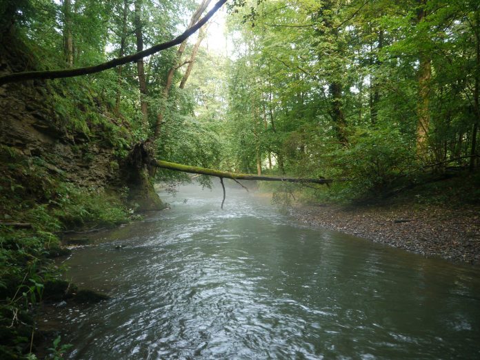 Eifgenbachtal