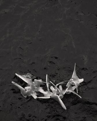 Loredana Nemes_ohne Titel_aus der Serie Gier_2014-2017_Copyright_ Loredana Nemes