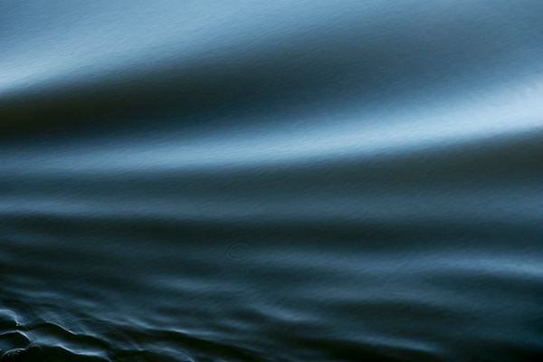 web_Pressefoto_Der-kleine-schwarzer-Fische