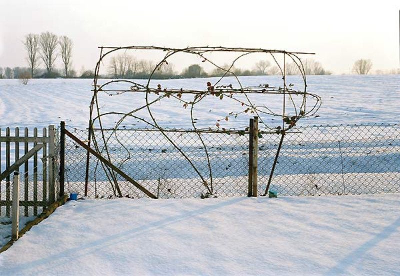 LAND_SCOPE – Simone Nieweg
