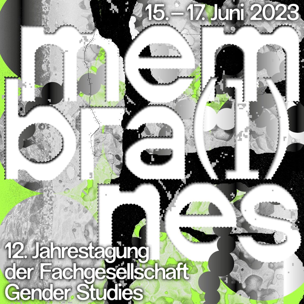 Poster der Tagung membra(I)nes