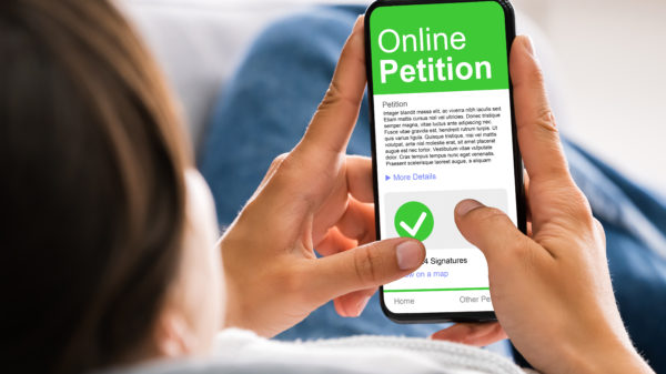 Person schaut auf ihren Smartphone-Bildungschirm und stimmt dort bei einer Online-Petition ab