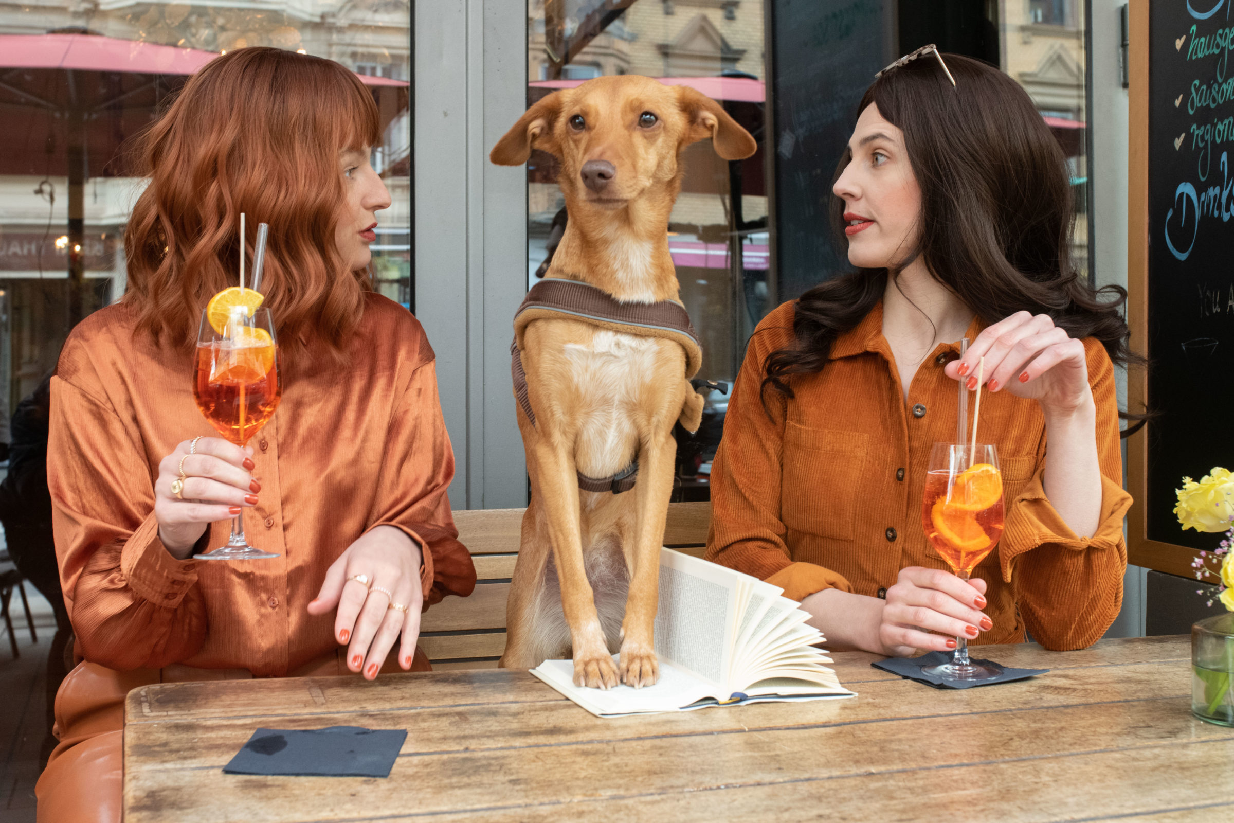 Auf dem Bild sind zwei weiblich gelesene Menschen und ein Hund abgebildet. Die zwei Frauen tragen beide eine orange Bluse. Sie sitzen an einem Tisch und haben jeweils einen Aperol Spritz in der Hand und schauen sich an. Zwischen den zwei Frauen sitzt ein Hund auf dem Tisch. Seine Vorderpfoten stehen auf einem aufgeschlagenen Buch. Im Hintergrund sieht man ein Fenster, in dem sich ein roter großer Sonnenschirm eines Restaurants spiegelt.