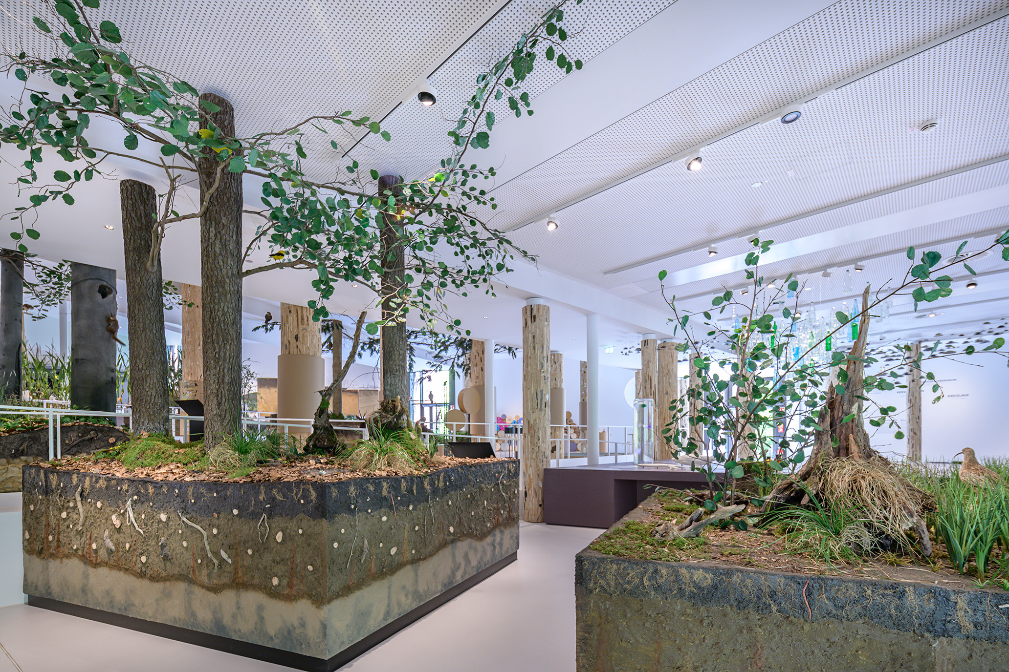 Ausstellung im Museum am Schölerberg in Osnabrück. © Hermann Pentermann