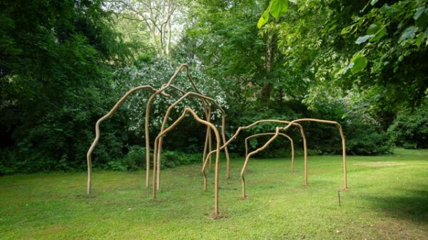 Ein filigranes Klettergerüst in einem Park.